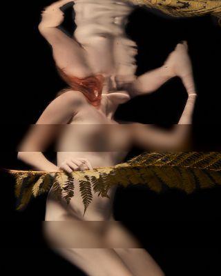 The fern / Nude  Fotografie von Fotograf Jose G Cano ★10 | STRKNG