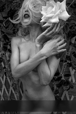 My Flower Of Love My Flower Of Love / Nude photography by Photographer Andrew W Pilling ★12 | STRKNG