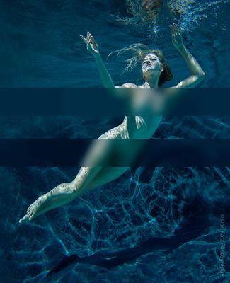 Alaina Underwater / Nude  photography by Photographer Dan Katz ★2 | STRKNG