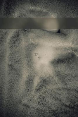 Water / 2025-04-03 Water / Nude Fotografie von Fotograf Ralf Ludwig | STRKNG