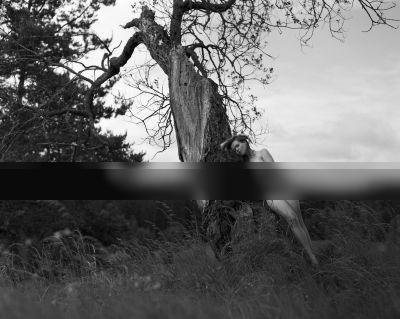 Nude  photography by Photographer JaKuBe ★1 | STRKNG