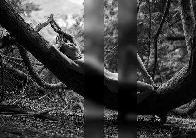 Irina on cedar bough / Nude  photography by Photographer Jörg Bongartz ★2 | STRKNG