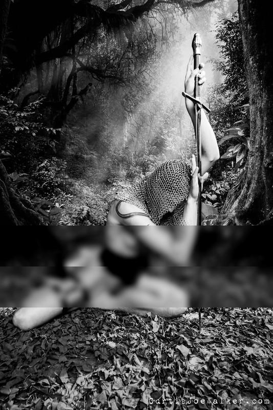 Medieval Forest Medieval Forest / Black and White photography by Photographer Curtis Joe Walker ★1 | STRKNG