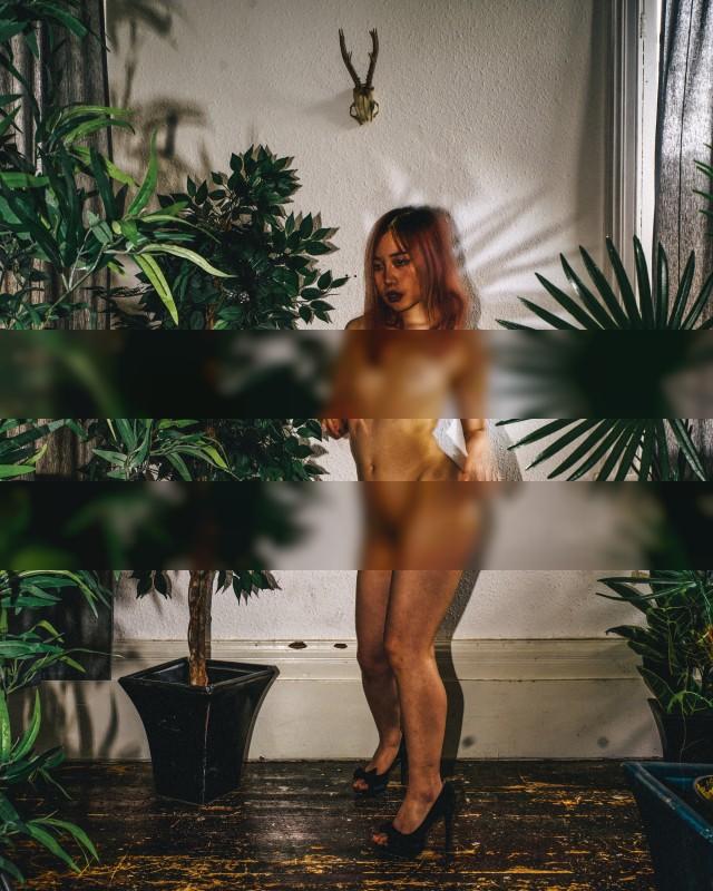 Queen of the Indoor Jungle / Nude  photography by Photographer Andrew W Pilling ★7 | STRKNG