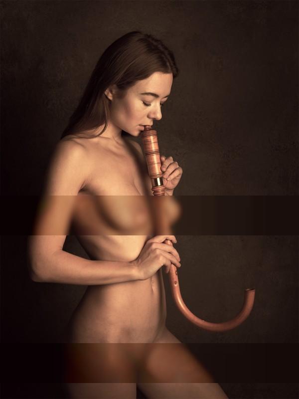 Crumhorn / 2022-12-17 Crumhorn / Nude photography by Photographer Black Forest Tintype ★6 | STRKNG