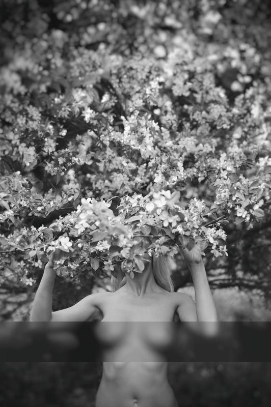 Flowering / Nude  Fotografie von Fotograf Saulius Krušna ★1 | STRKNG