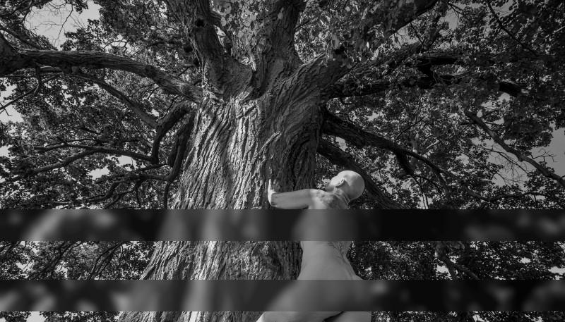 Tree of life / Nude  Fotografie von Fotografin Sabine Kristmann-Gros ★3 | STRKNG