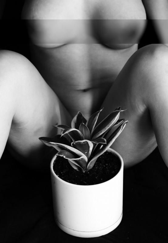 Flower / Nude  photography by Photographer Saman Nemati | STRKNG
