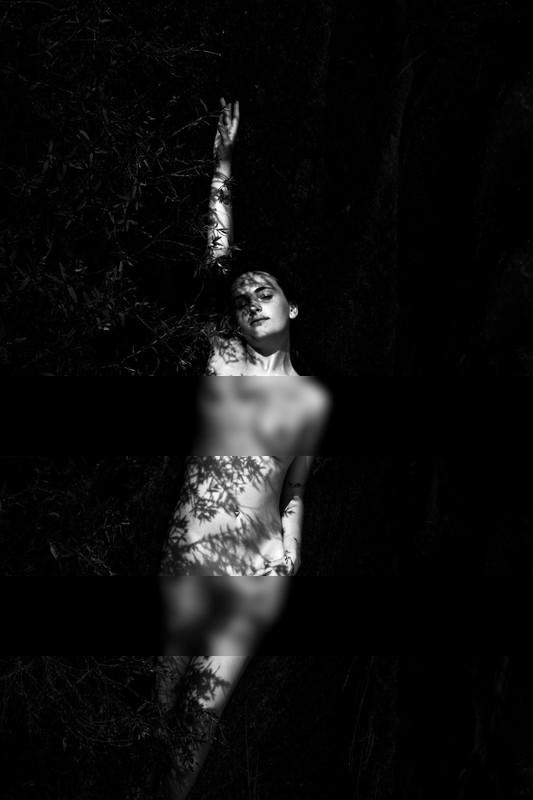 Organic projection / Fine Art  Fotografie von Fotograf Artsy AF Photography ★5 | STRKNG