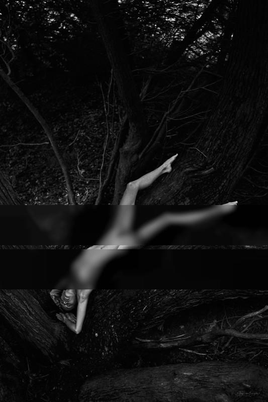 Upside down / Nude  Fotografie von Fotograf J. Bongartz ★1 | STRKNG