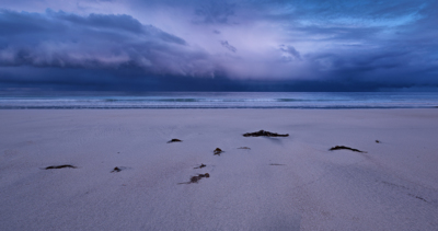 Tender wild / Landscapes  Fotografie von Fotograf felixinden ★10 | STRKNG