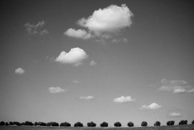 running with clouds / Schwarz-weiss  Fotografie von Fotograf Victor Bezrukov ★6 | STRKNG