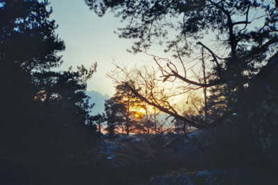 Sunset wood / Landscapes  Fotografie von Fotograf Daniel Santalla ★3 | STRKNG