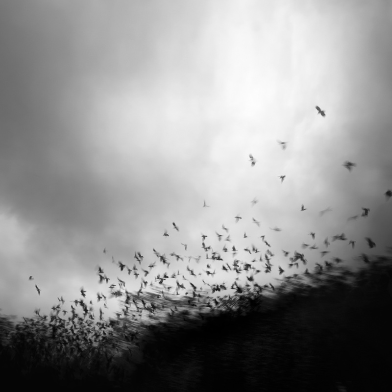 without you my whole world comes apart at the seams - &copy; Andy Lee | Black and White