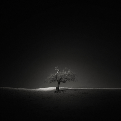 Slither / Black and White  photography by Photographer Andy Lee ★19 | STRKNG