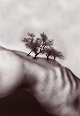 Landscape of mine 2 / Photomanipulation  photography by Photographer Ana Sioux ★3 | STRKNG