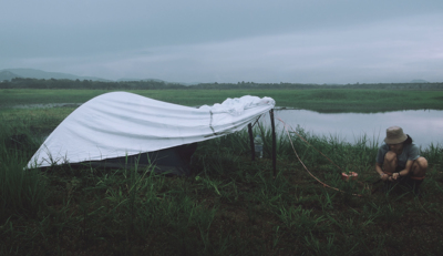 Hide / Wildlife  Fotografie von Fotograf look kon lek | STRKNG