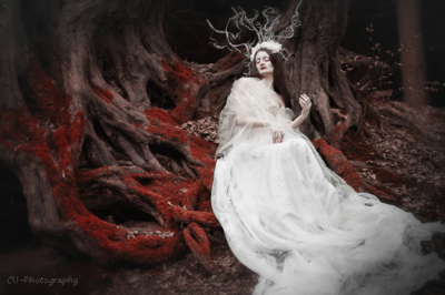 Faerie Queen / Fine Art  photography by Model aeons of silence ★7 | STRKNG