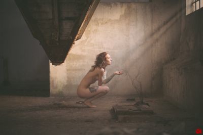 light / Nude  Fotografie von Fotograf Pixelbutze | Photography ★1 | STRKNG