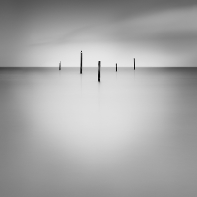 Five. Pier structure, Sausalito California, USA 2014. / Fine Art  Fotografie von Fotograf Thibault ROLAND ★5 | STRKNG