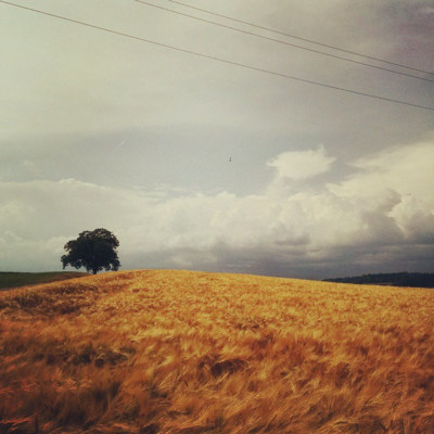 Reif / Landscapes  Fotografie von Fotograf Thomas Lottermoser ★6 | STRKNG