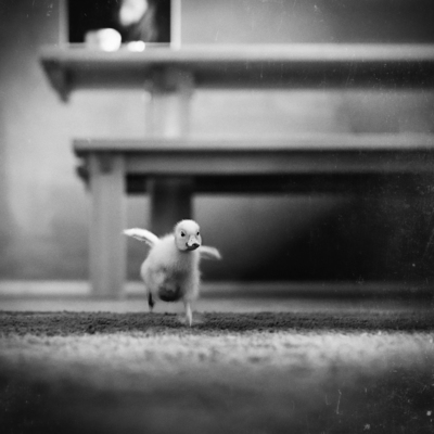 Mama....?! / Tiere  Fotografie von Fotografin Steffi Atze | STRKNG