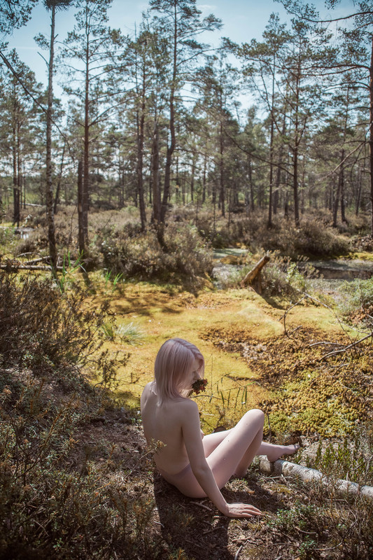 The pink marsh - &copy; JelenaOsmolovska | Portrait