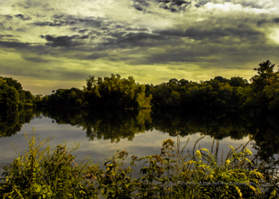 Roger Williams Park / Nature  photography by Photographer Sonny Walker Photography ★1 | STRKNG