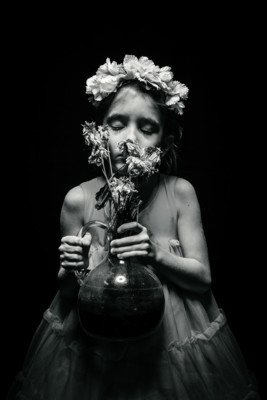 Gone-flower / Black and White  photography by Photographer Lisa Nowinski ★10 | STRKNG