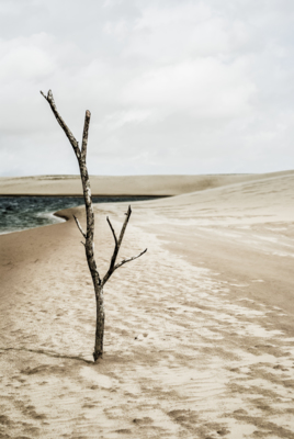 Death / Landscapes  photography by Photographer Bruno Colli ★1 | STRKNG
