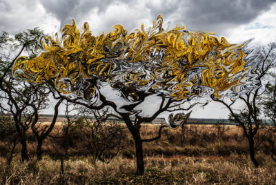 Dissolved / Landscapes  photography by Photographer Bruno Colli ★1 | STRKNG