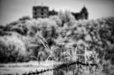 barbwire / Landscapes  Fotografie von Fotograf derbaum | STRKNG