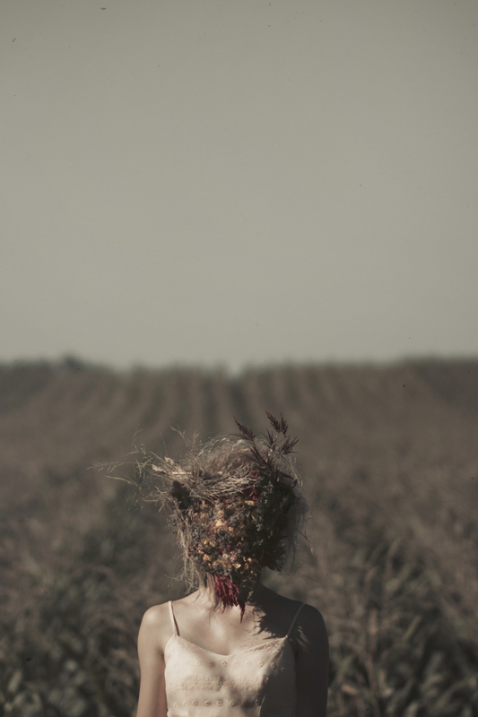 Field of Secrets - &copy; Vanessa Conway | Portrait