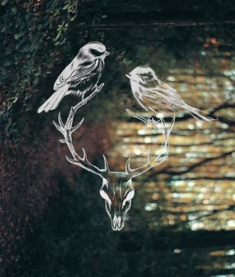 Wildlife / Conceptual  photography by Photographer Movsaeky ★3 | STRKNG