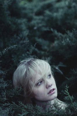 Natural prisons / Portrait  Fotografie von Fotografin Flavia Catena ★1 | STRKNG