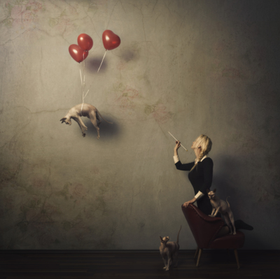 Living Airmail Not Allowed / Conceptual  photography by Photographer Mrs. White ★58 | STRKNG