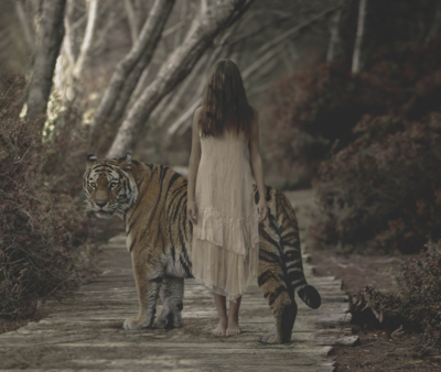 THE BEAST / Creative edit  photography by Photographer Rafa Macías (Oroyplata) ★5 | STRKNG