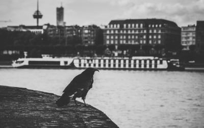 Stadtlandschaften  Fotografie von Fotografin Heike Zanini | STRKNG