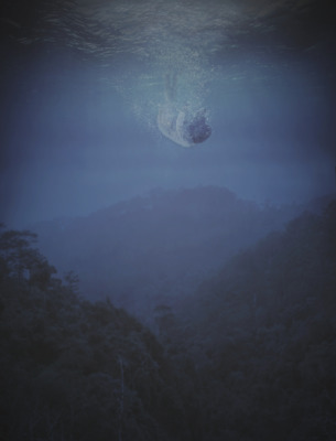 Falling 2 / Fine Art  photography by Photographer Toàn | STRKNG