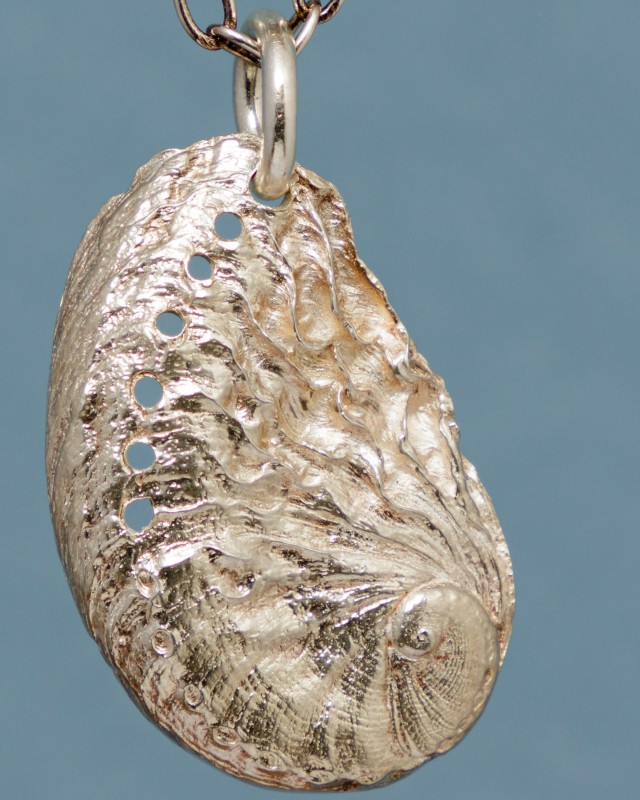 Sterling silver shell - &copy; Hamish Niven | Fashion / Beauty