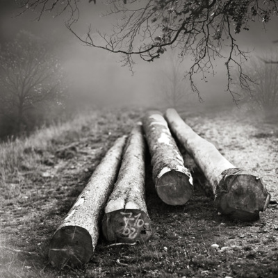 untitled / Fine Art  Fotografie von Fotograf Eric Frey ★6 | STRKNG