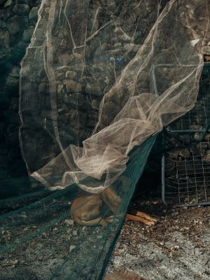 Ou-Topòs / Documentary  photography by Photographer Timo ★2 | STRKNG