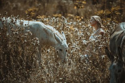 Summervibes / Fine Art  Fotografie von Fotografin Atemlos Träumen ★6 | STRKNG