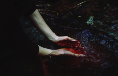 Purification / Natur  Fotografie von Fotograf Nadæc ★4 | STRKNG