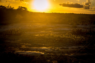 Sunset / Natur  Fotografie von Fotograf O fotografo casual | STRKNG