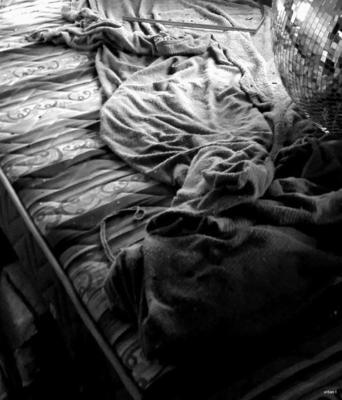 wombat / Mood  photography by Photographer Urban F ★1 | STRKNG