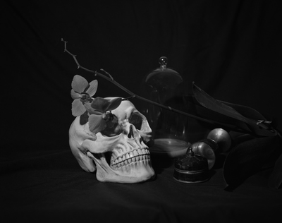 Momento Mori / Fine Art  Fotografie von Fotografin Sarah Leslie ★1 | STRKNG