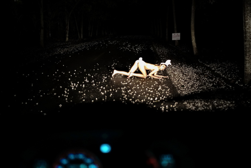 Take care of the rabbit's leaping out to the road! - &copy; Lum Photoblossom | Nude