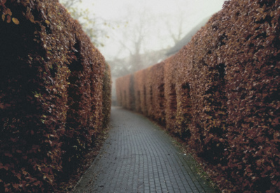 Nature  photography by Photographer Marco Bekk ★1 | STRKNG