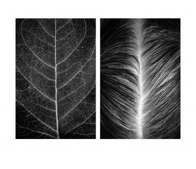 Diptych No. 3 / Konzeptionell  Fotografie von Fotografin Alicja Brodowicz ★24 | STRKNG